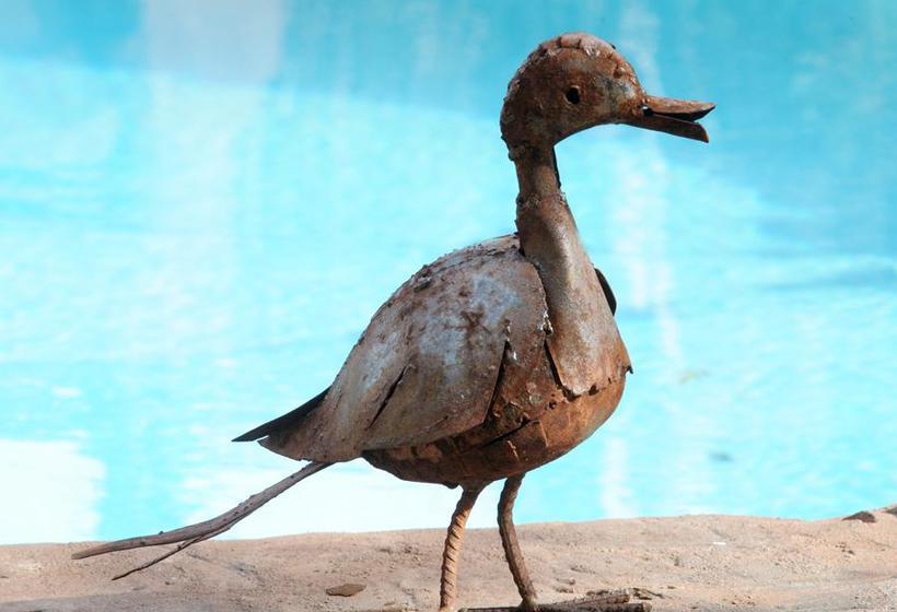 Hotel Treetops Guesthouse 16