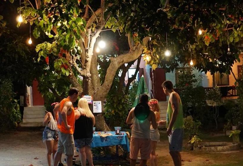 Yoghurt Home Hostel 3