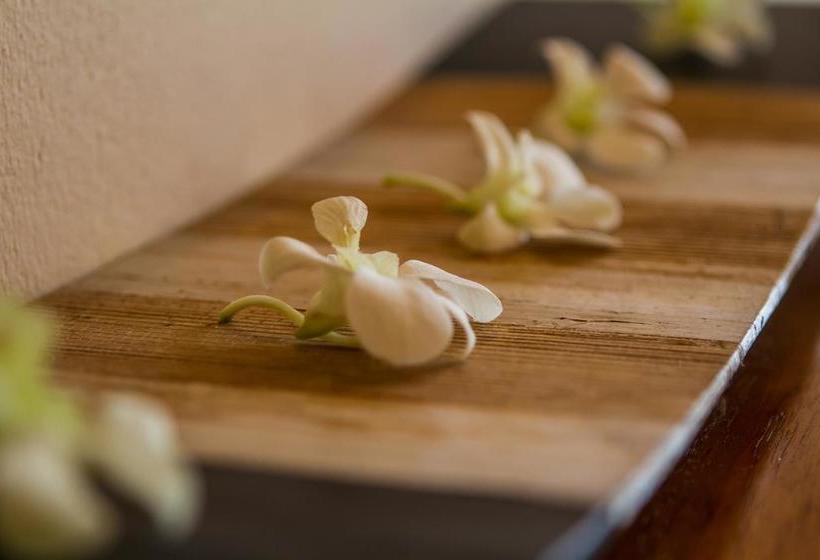 Resort The Plantation Villas 8