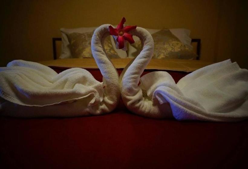 Bed and Breakfast Star Guest House 11