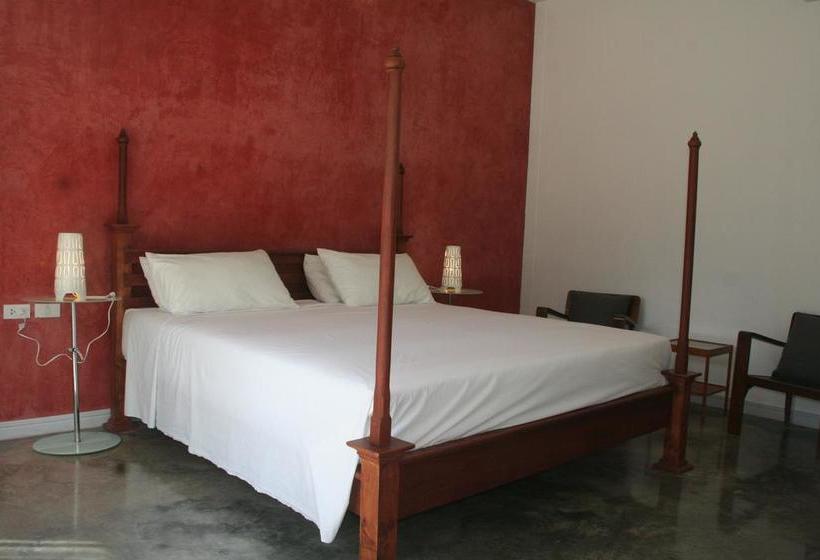 Bed and Breakfast Medithairean Guesthouse 11