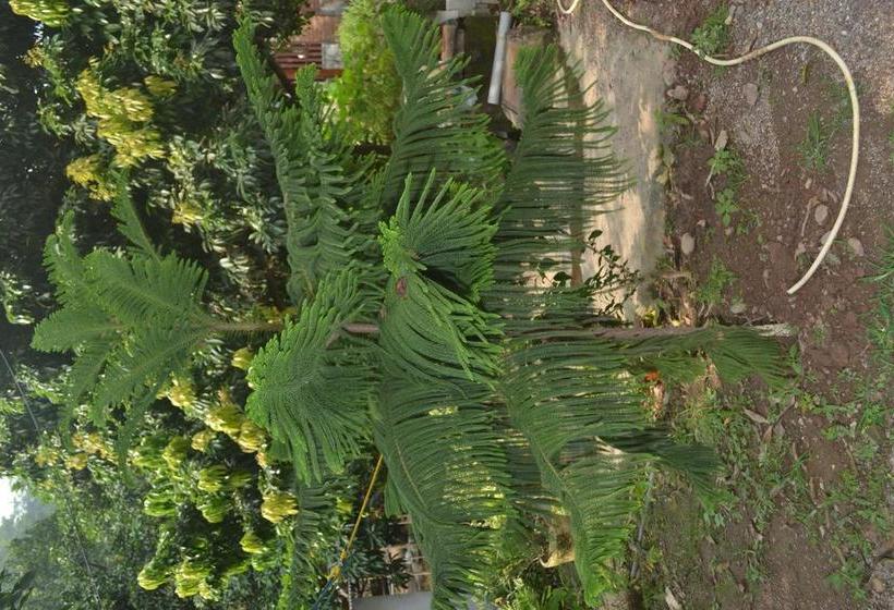 Hotel Mount Valley Mama Cottage 9