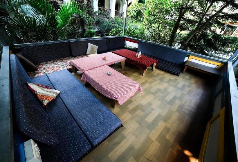 Hotel New Bhandari Swiss Cottage 10