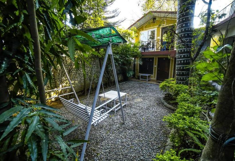 Hotel New Bhandari Swiss Cottage 2