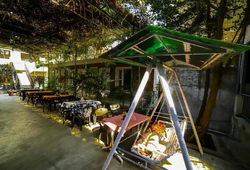 Hotel New Bhandari Swiss Cottage 3