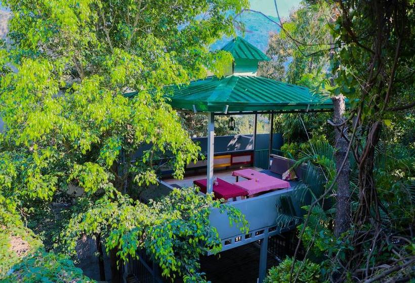 Hotel New Bhandari Swiss Cottage 6