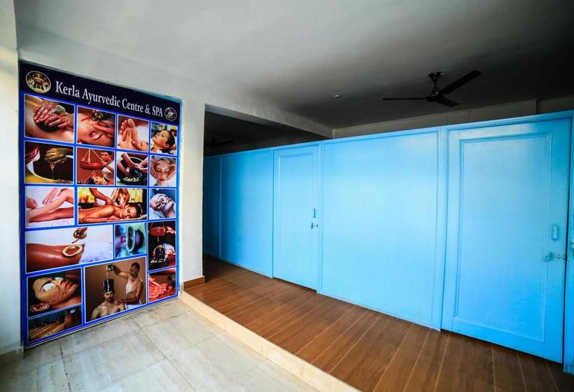 Hotel New Bhandari Swiss Cottage 9