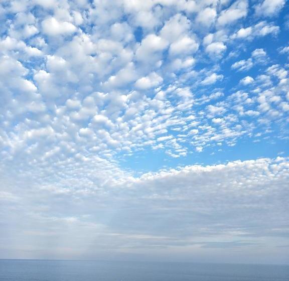 Hotel Moondance Magic View Koh Tao 12