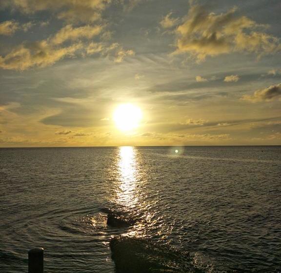 Hotel Moondance Magic View Koh Tao 17