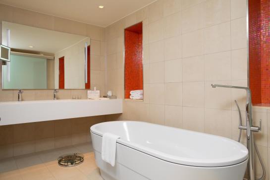 Radisson Blu Hotel Moscow Sheremetyevo Airport Jimki