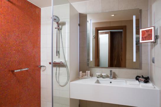 Radisson Blu Hotel Moscow Sheremetyevo Airport 16