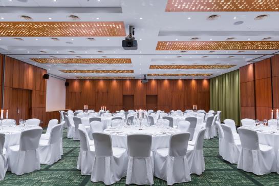 Radisson Blu Hotel Moscow Sheremetyevo Airport 19