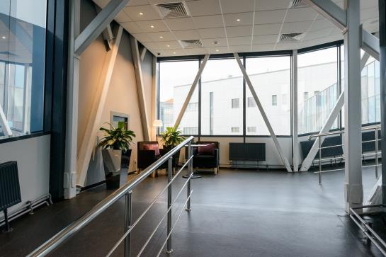 Radisson Blu Hotel Moscow Sheremetyevo Airport 4