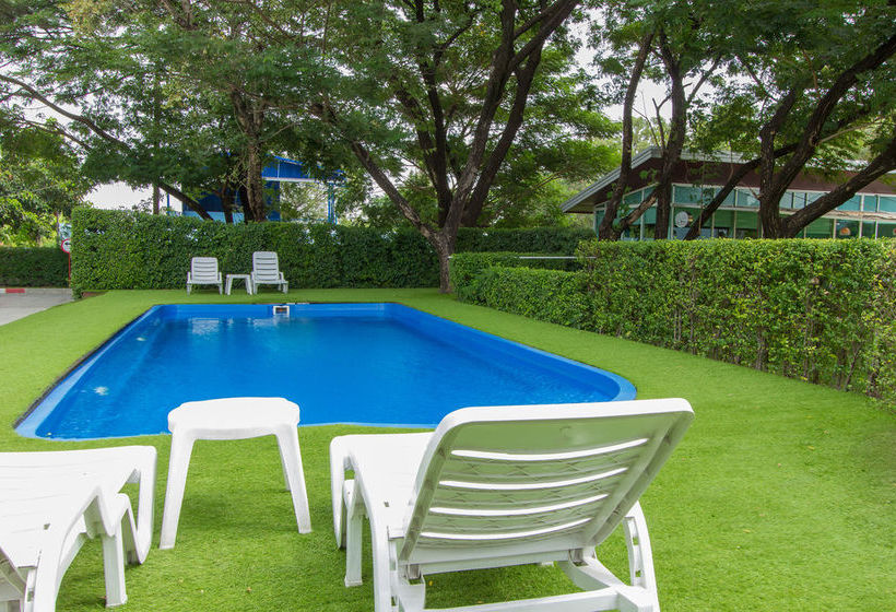 Big Tree Residence 18