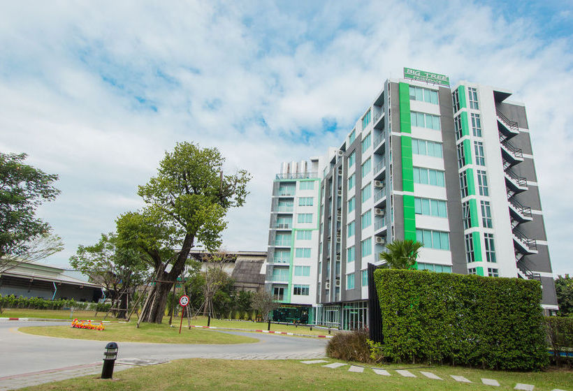 Big Tree Residence 2