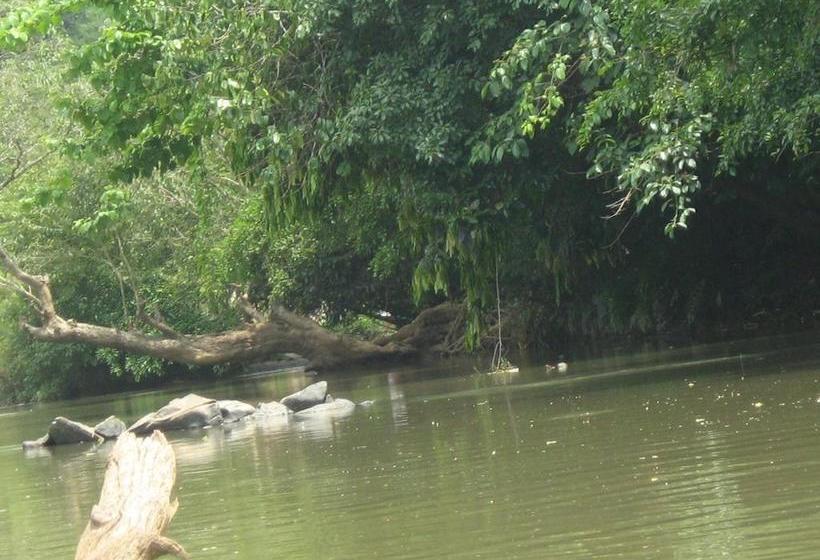 Hotel Mintflower Residency 5