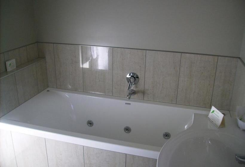 Hotel Albert Court Motor Lodge 7