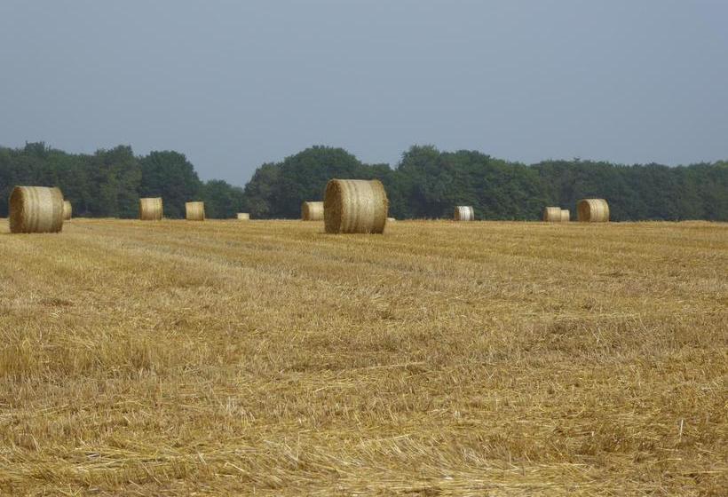 Hotel Bergischer Hof 4