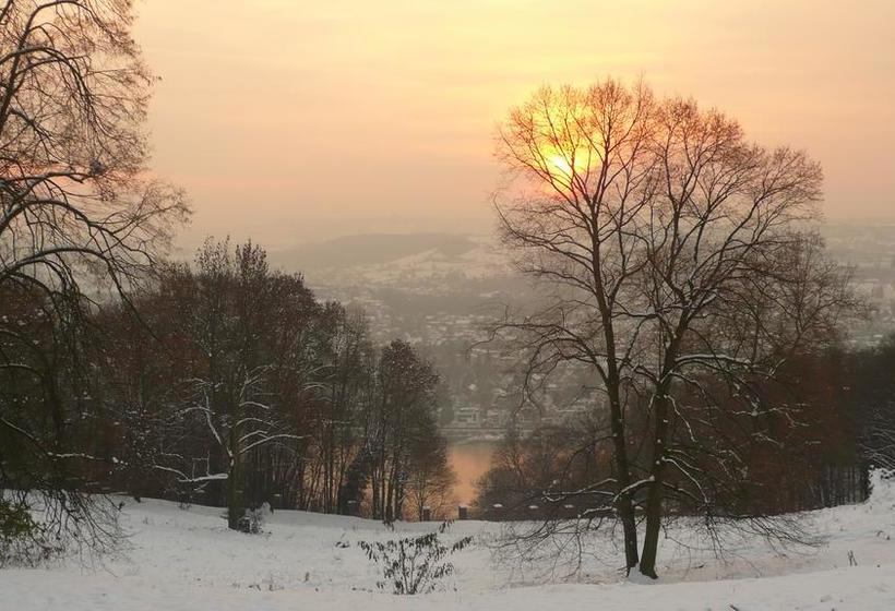 Hotel Bergischer Hof 5