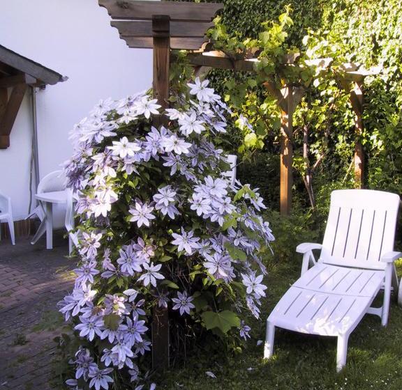 Hotel Haus Wehrbüsch 2