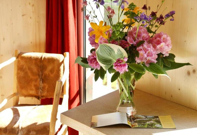 Bio & Nationalparkhotel Helvetia 10