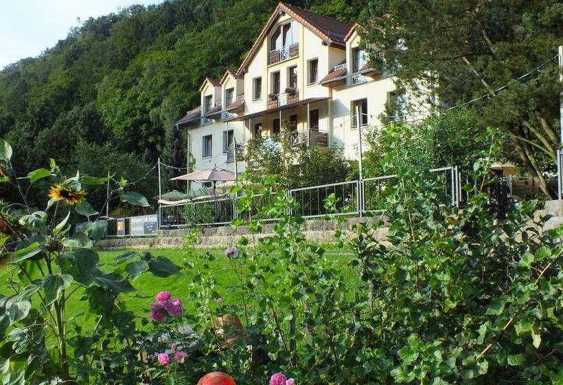 Bio & Nationalparkhotel Helvetia 12