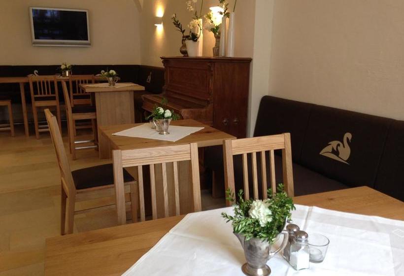 Hotel Gasthaus Schwan 10