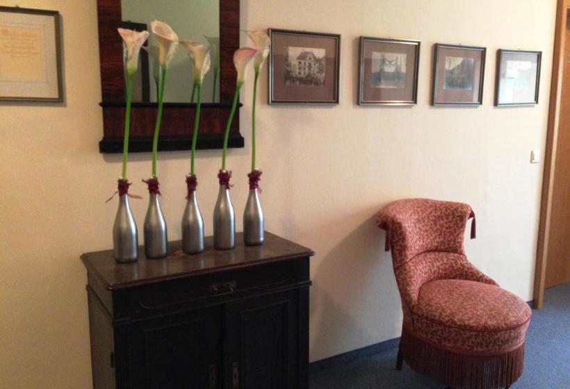 Hotel Gasthaus Schwan 6