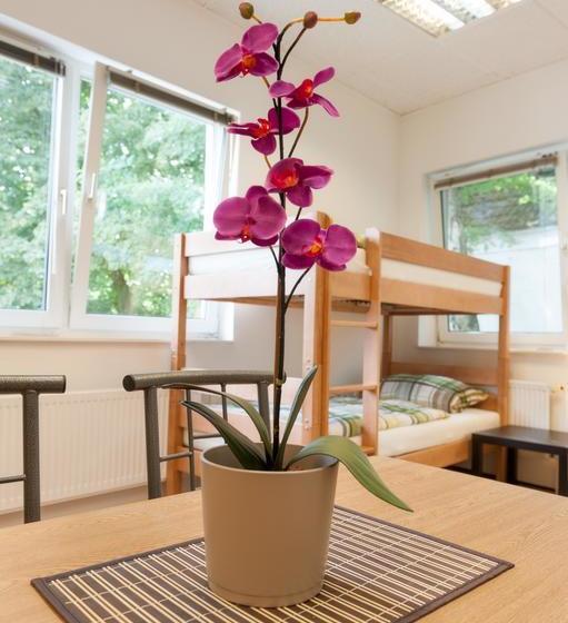 Herberge K 357 Stadtunterkunft Hamburg 8