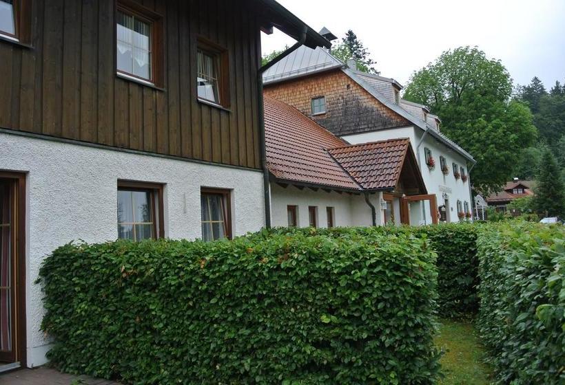 Hotel Zwieseler Waldhaus 11