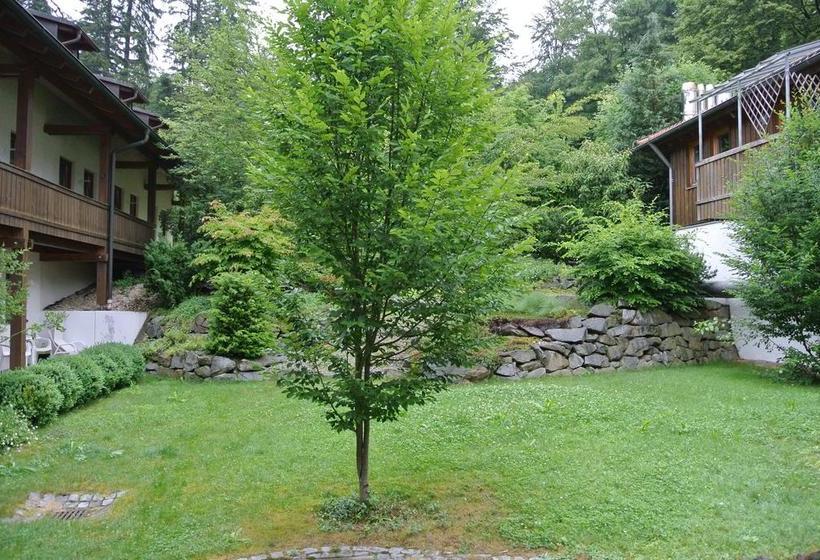 Hotel Zwieseler Waldhaus 4