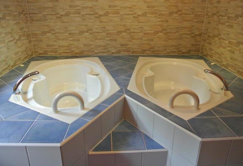 Hotel Zwieseler Waldhaus 7