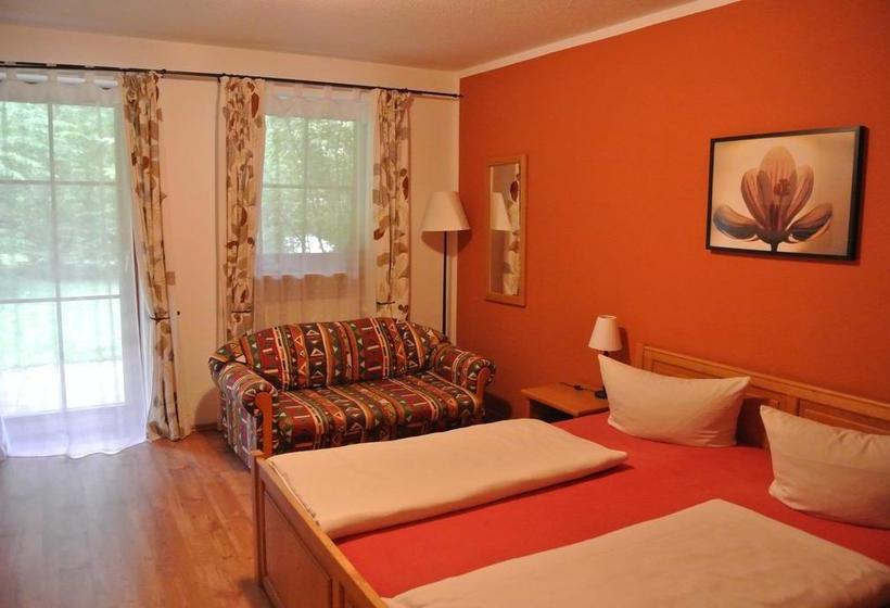 Hotel Zwieseler Waldhaus 9