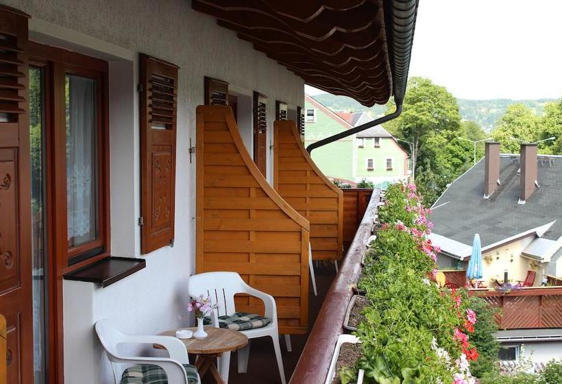 Landhotel Gasthof Zwota 1