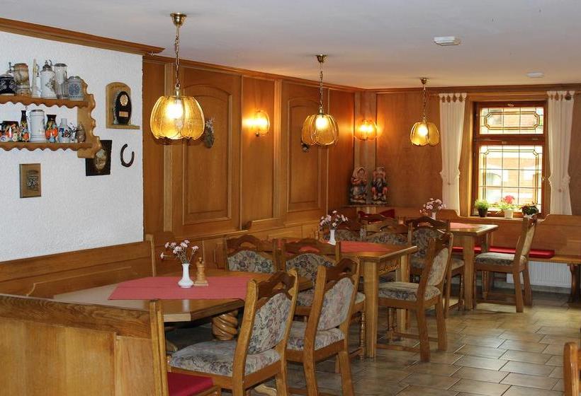 Landhotel Gasthof Zwota 6