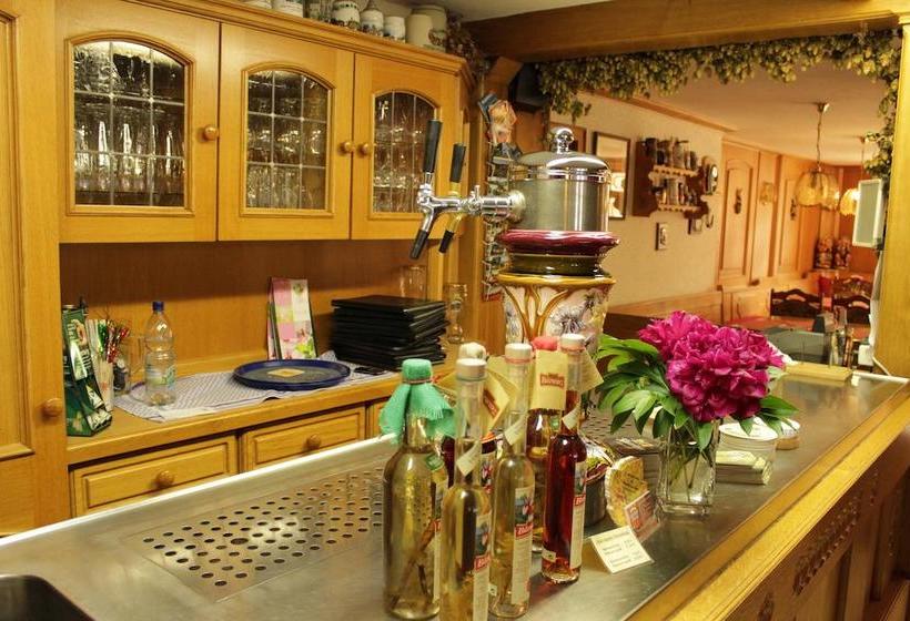 Landhotel Gasthof Zwota 9