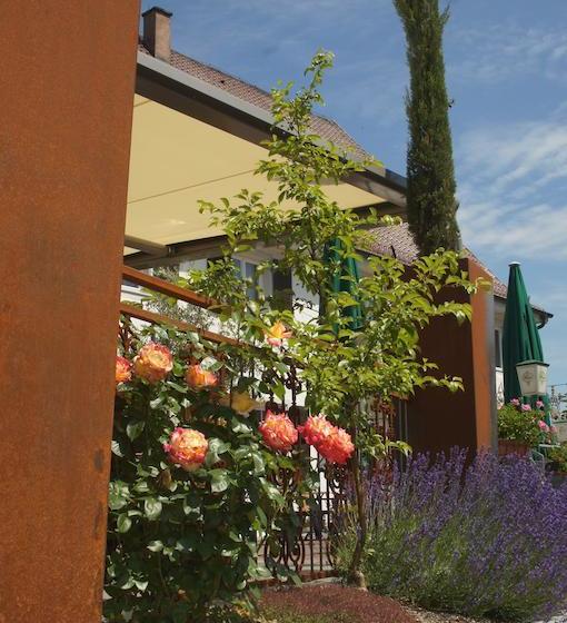 Hotel Gasthof Zum Adler 8