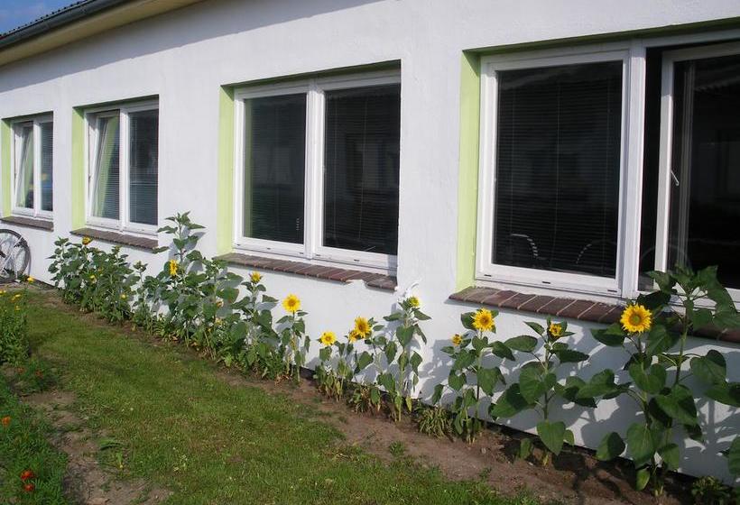 Herberge BackpackersŽ Inn 2