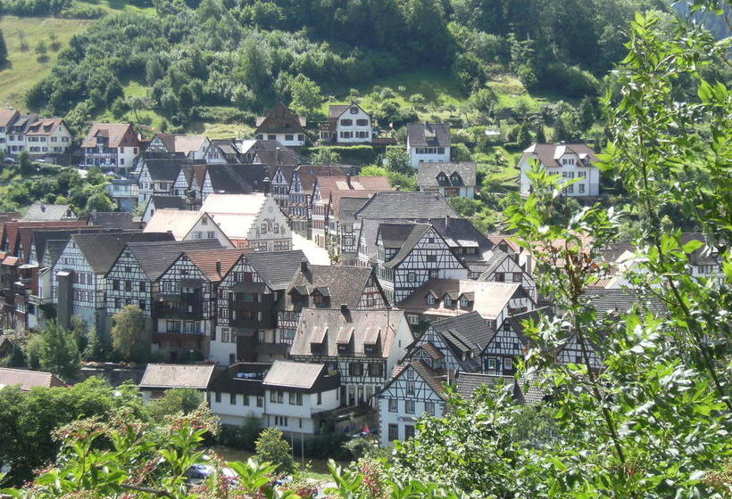 Hotel Gasthof Zum Weyssen Rössle 11