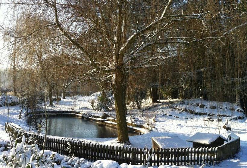 Hotel World House Wetten 1