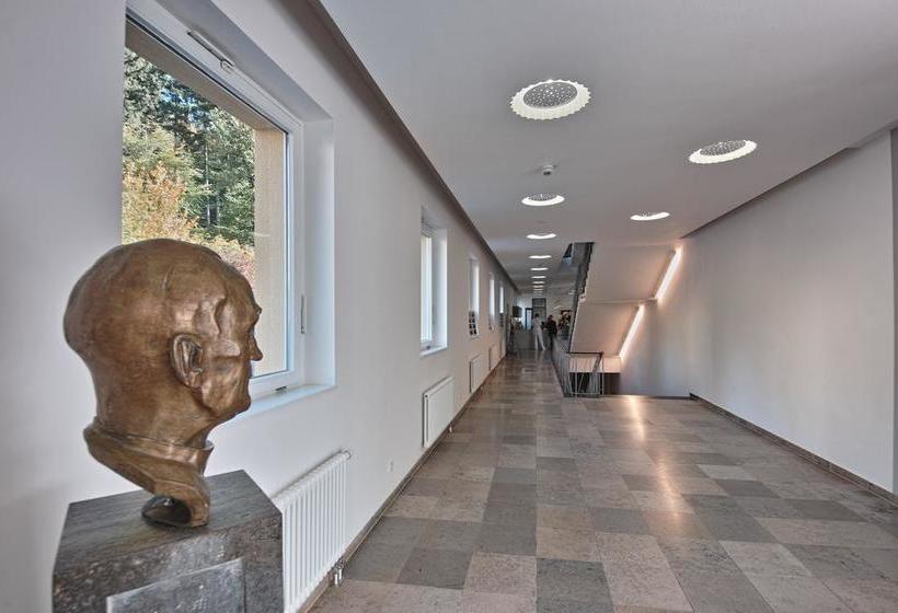 Hotel Martinniemöllerhaus 3