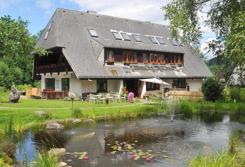 Hostel&spa Waldkurbad Friburgo de Brisgovia Baden-Wurtemberg