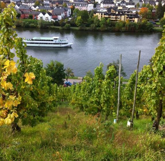 Hotel Das Kleine Altstadt 10