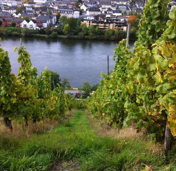 Hotel Das Kleine Altstadt 11