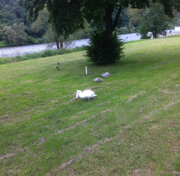 Hotel Das Kleine Altstadt 16