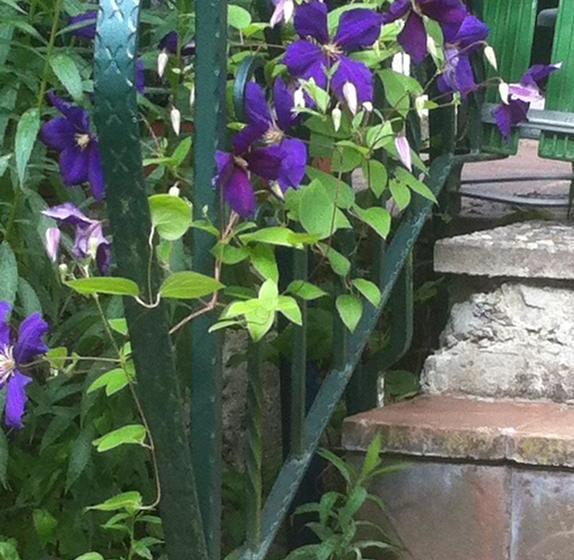 Hotel Das Kleine Altstadt 17