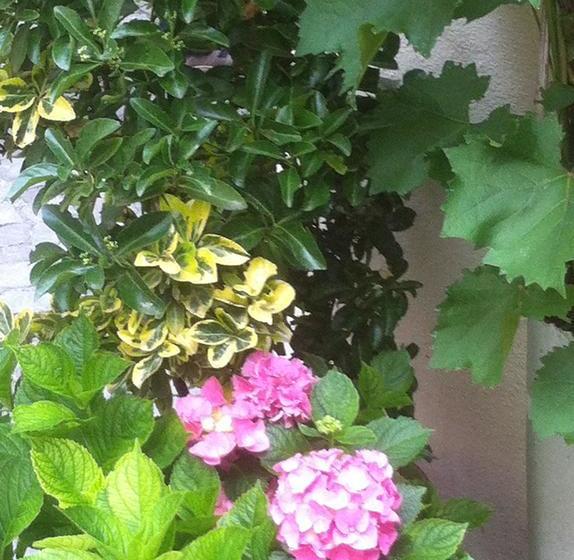 Hotel Das Kleine Altstadt 20