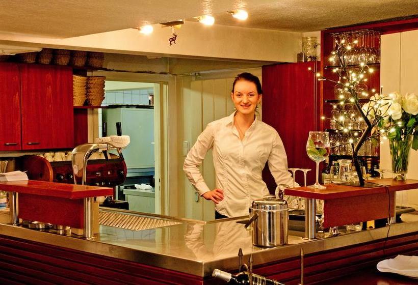 Hotel Restaurant Stella 2