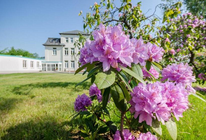 Hotel Siegmar Im Geschäftshaus 8