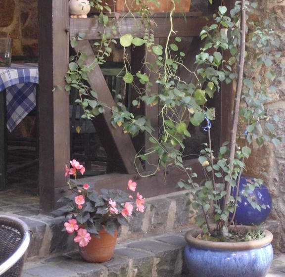 Hôtel Alte Gerberei 14